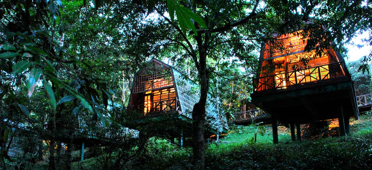 Borneo Beyond Adventure