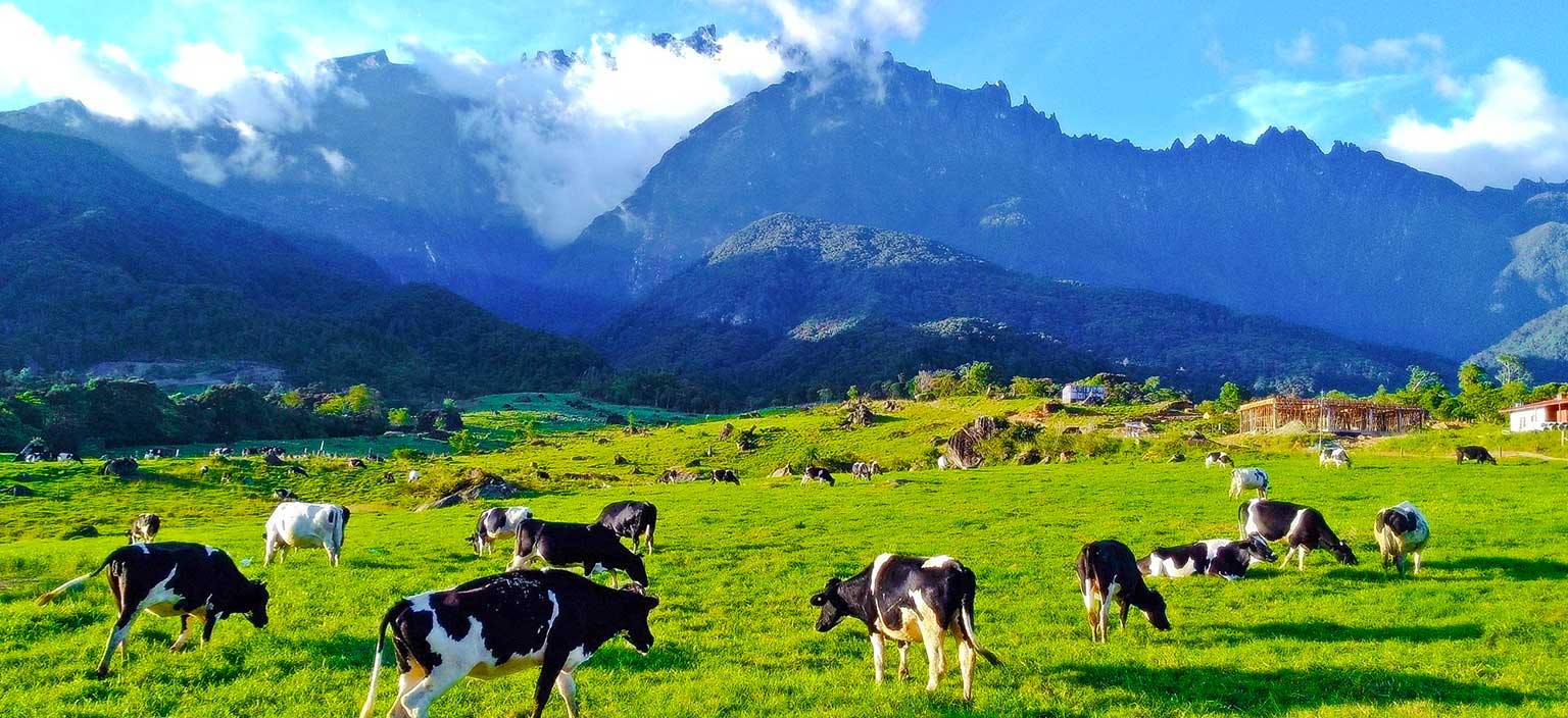 Borneo Beyond Adventure